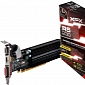 XFX Releases Five Radeon R5 230 Graphics Cards