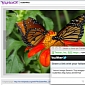 Yahoo Image Search Gets Infinite Scroll, Facebook and Twitter Sharing