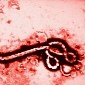 Yet Another Nurse in Dallas, Texas, Tests Positive for Ebola