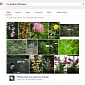 You Can Now Find Your Google+ Photos in Google Search