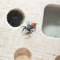 YouTube's Space Spider Is Back on Earth