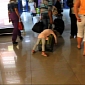 Young Girl Sleeps on Luggage, Gets Schlepped Around Airport