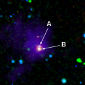 'Youngest' Brown Dwarf Discovered by Spitzer