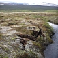 Yukon Flats Study Reveals Permafrost Dynamics