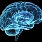 Zapping the Brain Can Address Schizophrenia Symptoms, Study Finds