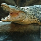 Zoo Names Aggressive Cuban Crocodile Fidel