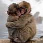 Zoo Names Newborn Monkey After Royal Baby Charlotte Elizabeth Diana