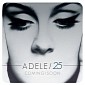 Adele Explains Upcoming Album, “25,” in Open Letter on Twitter