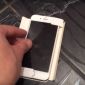 Alleged 4-Inch Apple iPhone 6c Video Leaked
