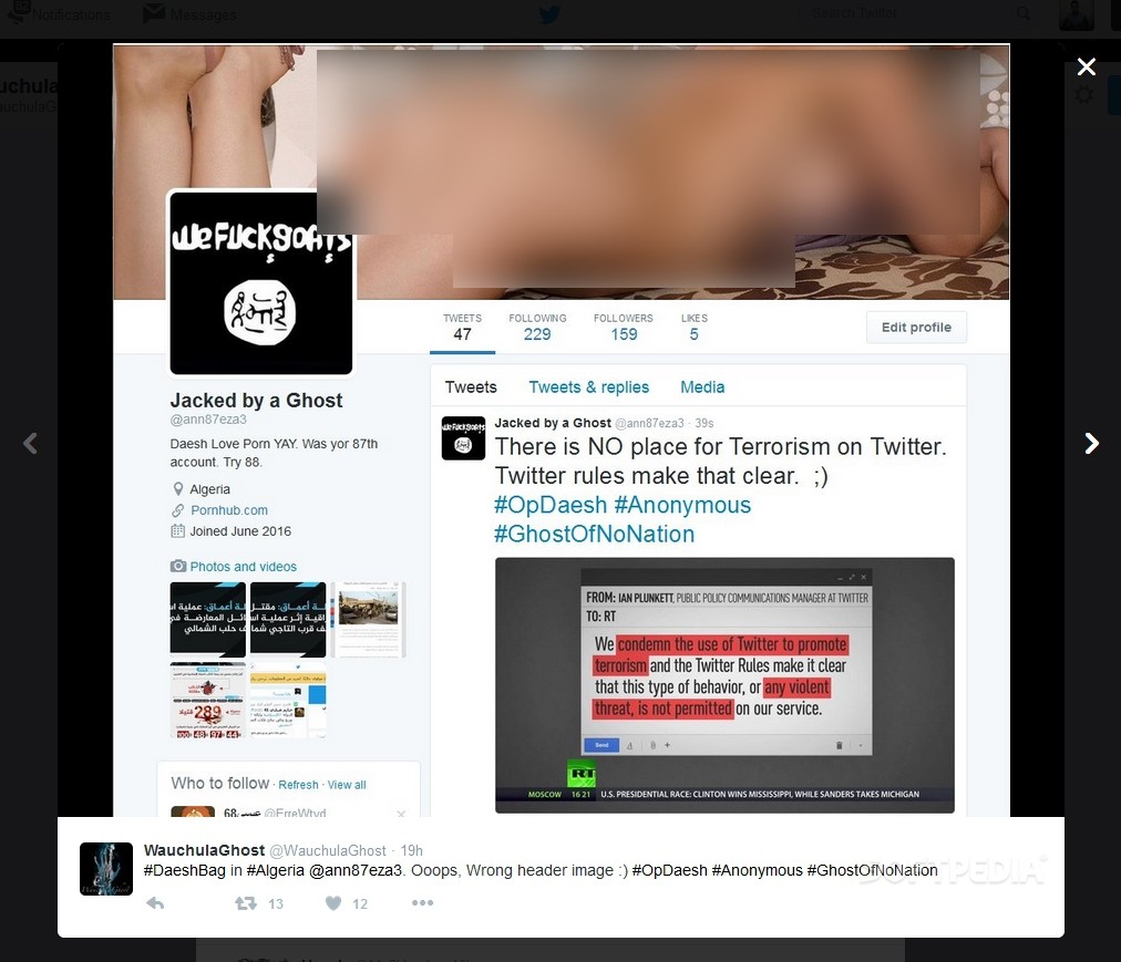 WauchulaGhost is defacing ISIS Twitter profiles, posting adult images.