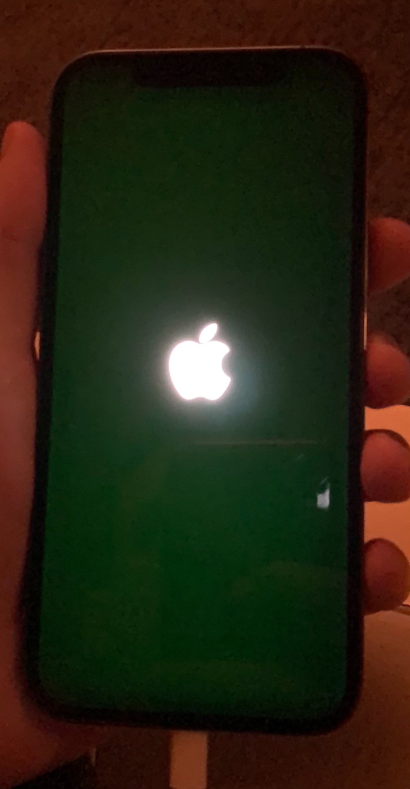 Apple to Fix iPhone 12 Green Tint Problem with iOS Update