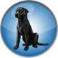Black Lab Enterprise Linux 11 Xfce and MATE Spins Now Available for Download