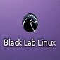Black Lab Enterprise Linux 8 Service Pack 1 Supports Rebootless Kernel Installs