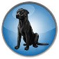 Black Lab Linux 9 to Launch in June As Version 10 Is Planned for November 2017