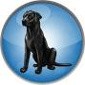 Black Lab Linux's Weekly Releases Move to the GNOME 3 Desktop, New ISO Out Now