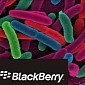 BlackBerry Might Develop a Bacteria-Free Phone for Hospitals