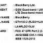 BlackBerry Neon or Hamburg Passes Through FCC