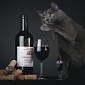 Cat Spends 7 Weeks Trapped in a Wine Cellar, Gets Seriously Drunk