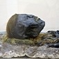 Centuries-Old Mummy Recovered from the Siberian Permafrost