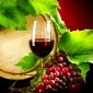 Compound in Red Wine Might Help Treat Alzheimer's