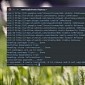 Debian and Ubuntu Patch Critical Sudo Security Vulnerability, Update Now