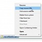 Download Manager (S3) Firefox Add-On Spies on Users <em>UPDATE</em>