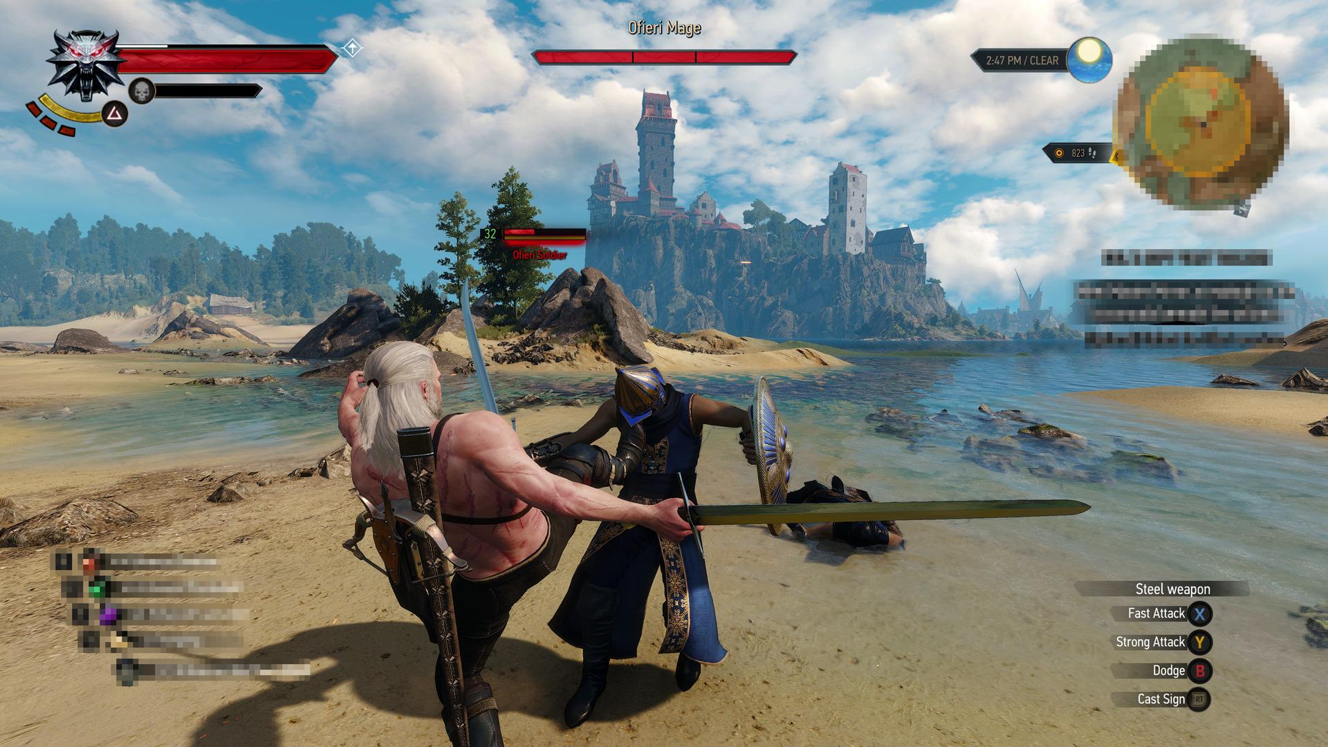 the witcher pc