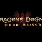 Dragon's Dogma: Dark Arisen Review (PC)