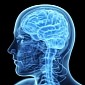 Drug Shown to Reduce Memory Loss in Alzheimer’s Disease