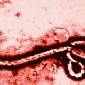 Experimental Ebola Vaccine Delivers 100% Protection in Trial