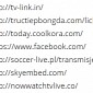 Facebook's Homepage Featured on DMCA Received by Google via Premier League