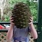 Falling Pine Cone Lands on Guy's Head, He Sues the US Government
