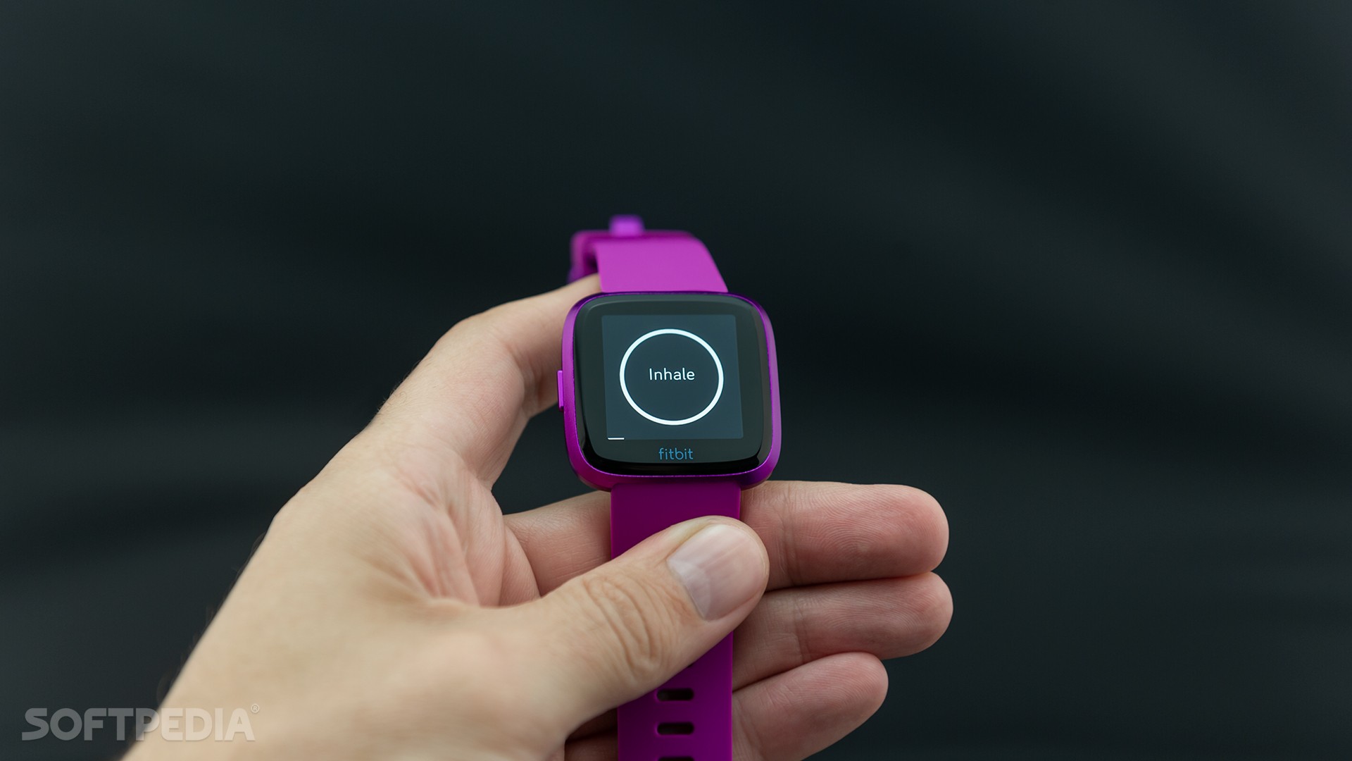 fitbit versa lite edition smartwatch review