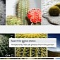 Flickr Helps You Search for Visually Similar Photos