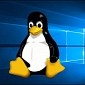 Goodbye, Windows: Another Government Plans En-Masse Transition to Linux