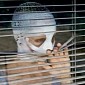 “Goodnight Mommy” Is the Scariest Movie Trailer Ever, the Internet Has Decided - Video