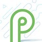 Google Says Android P Will Support All Notches, but No More Than Two on a Device