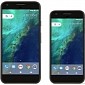 Google Silently Fixes Pixel and Pixel XL Audio Distortion Issue - Video