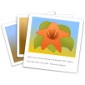 gThumb 3.4.4 Open Source Image Viewer Finds Duplicates Faster, Adds New Features