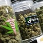 Hackers Target Marijuana Shops with Attacks Against Critical Software