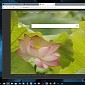 Hands-On with the Updated Microsoft Edge Browser in Windows 10 RS5 Build 17704