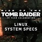 Here Are the System Requirements for Playing Rise of the Tomb Raider on Linux