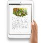 iPad Mini Uses a Different iOS to Ignore Accidental Taps