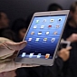 iPad mini 2 Will Have an Insanely Dense Retina Display, Says DisplaySearch
