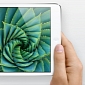 iPad mini 2 Could Use OGS Retina Display