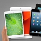 iPad mini Screens Are Outdated, Says DisplayMate