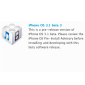 iPhone OS 3.1 Beta 3 Released
