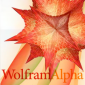 iPhone Version of Wolfram|Alpha Launched