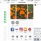 Instagram iOS Adds System-Wide Posting via Share Sheet Support