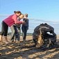 Kids Find World War II Bomb on Beach in Wales